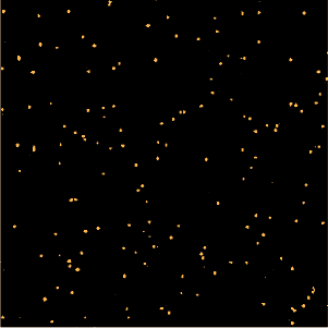 ATX Vivid 24k Black